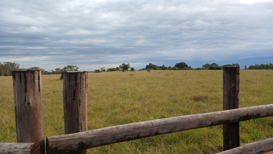 Commercial Property for Sale in Bathurst Rural Eastern Cape